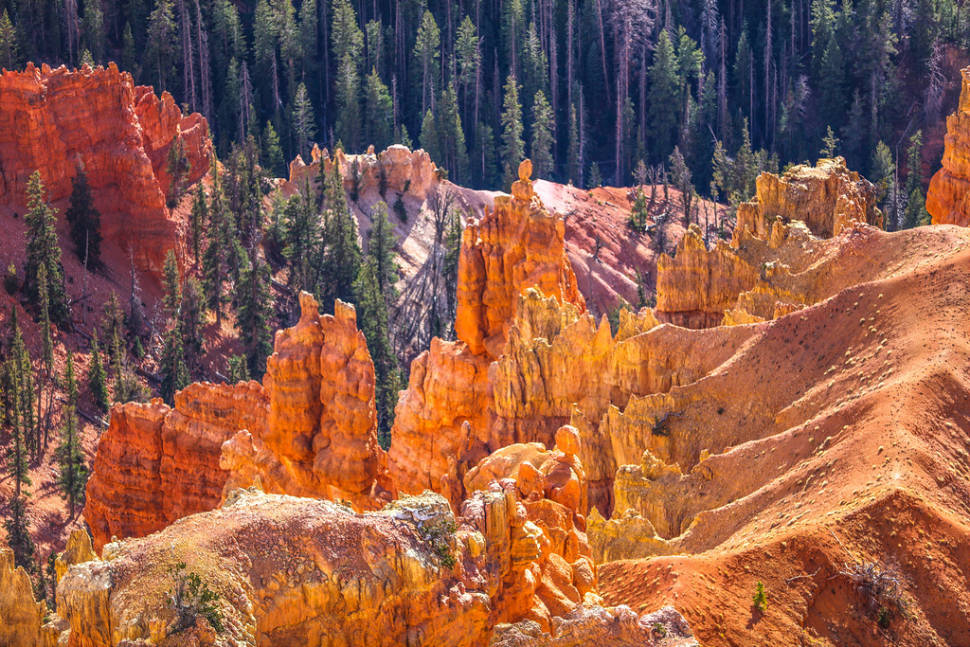 Cedar Breaks National Monument in Utah - Best Season