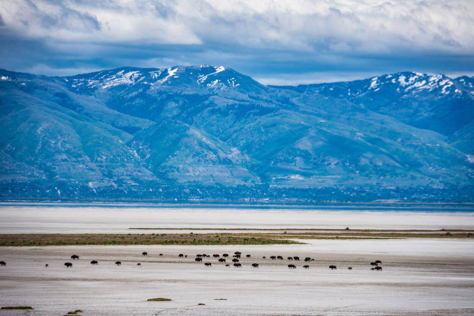 Best time for The Great Salt Lake in Utah