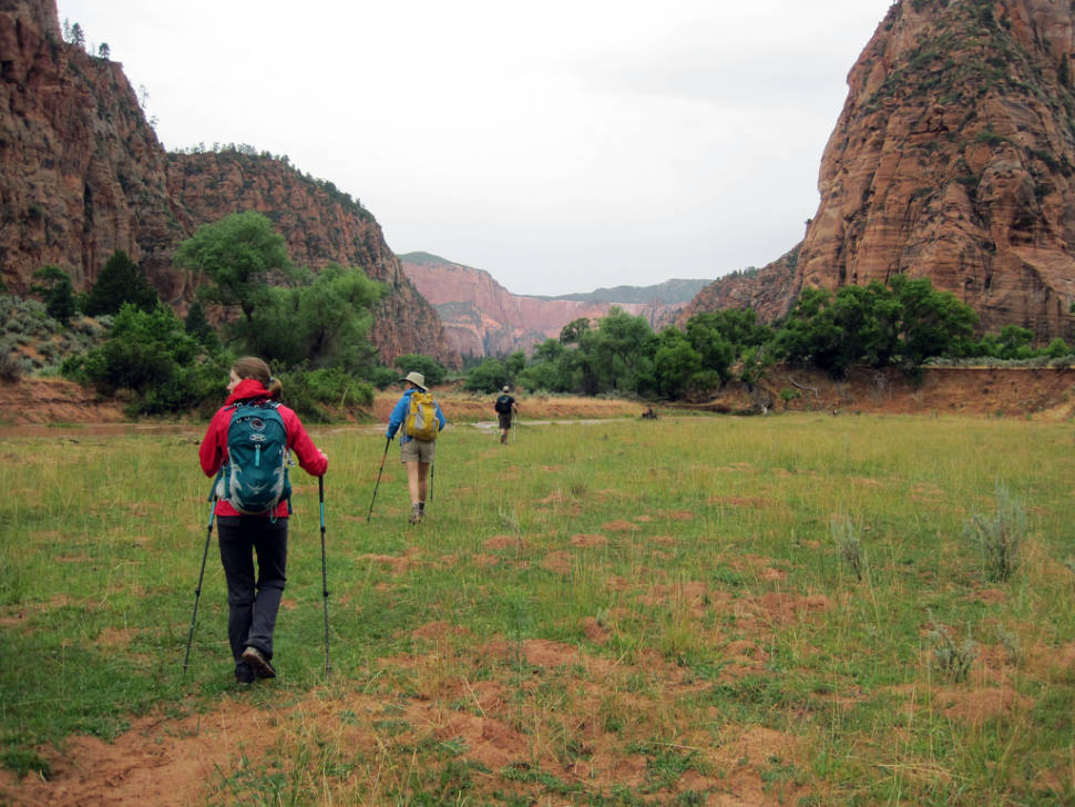 Best time to see Kolob Canyons Scenic Drive
