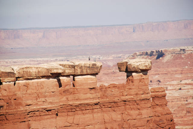 Maze Overlook