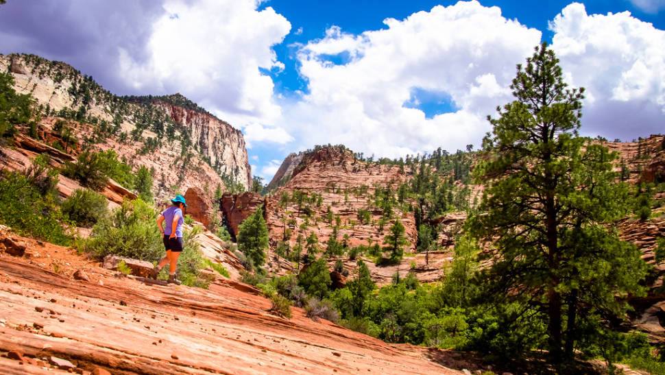 Best time for Zion National Park in Utah