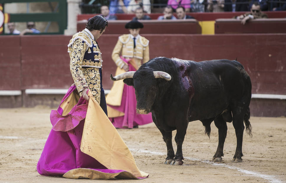Corrida de Toros in Valencia - Best Time