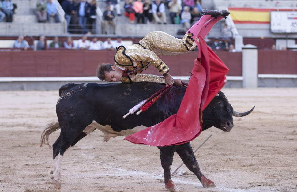 Novillada in Valencia - Best Season