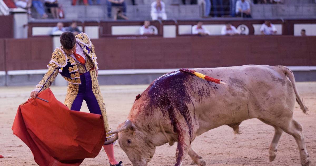 Novillada in Valencia - Best Time