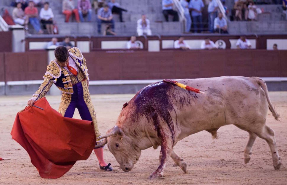 Novillada in Valencia - Best Time