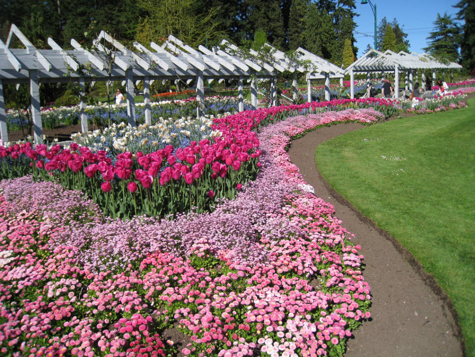 Best time for Blooming Season in Vancouver
