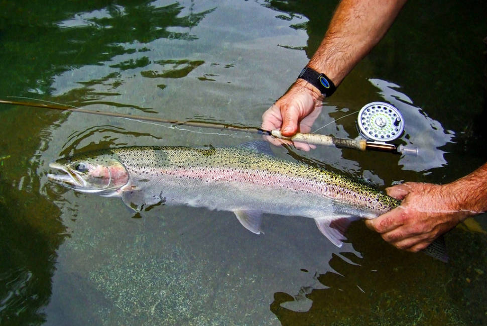 Fishing in Vancouver - Best Time