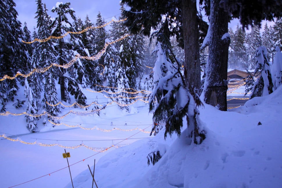 Best time for Grouse Mountain Light Walk in Vancouver