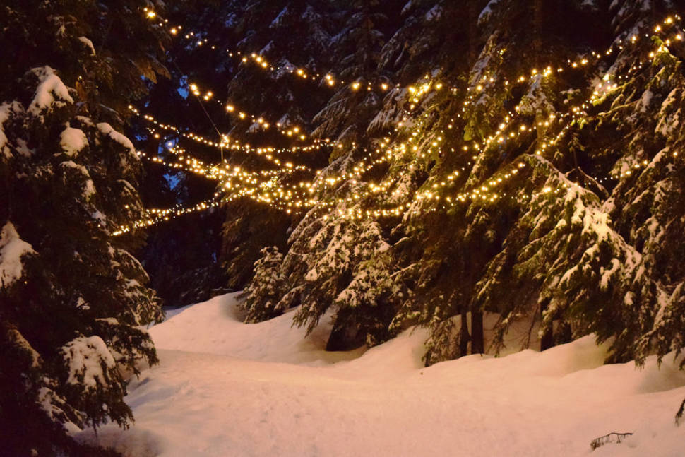 Grouse Mountain Light Walk in Vancouver - Best Season