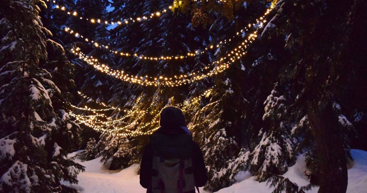 Grouse Mountain Light Walk in Vancouver - Best Time