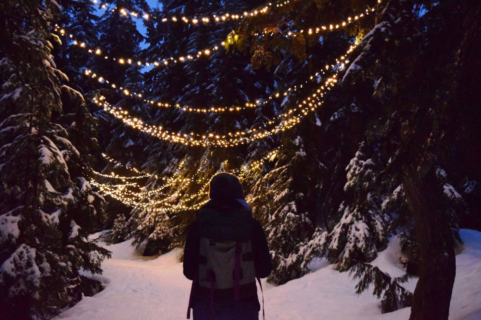 Grouse Mountain Light Walk in Vancouver - Best Time