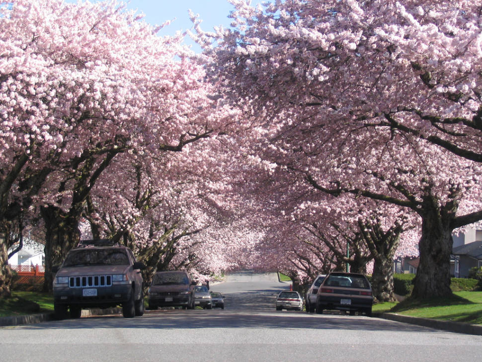 Spring in Vancouver - Best Season