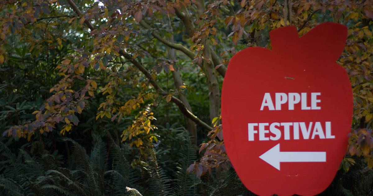 UBC Apple Festival in Vancouver - Best Time