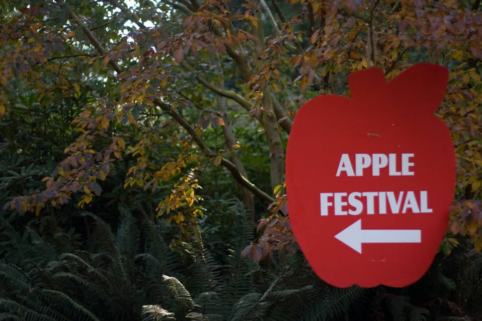 UBC Apple Festival in Vancouver - Best Time