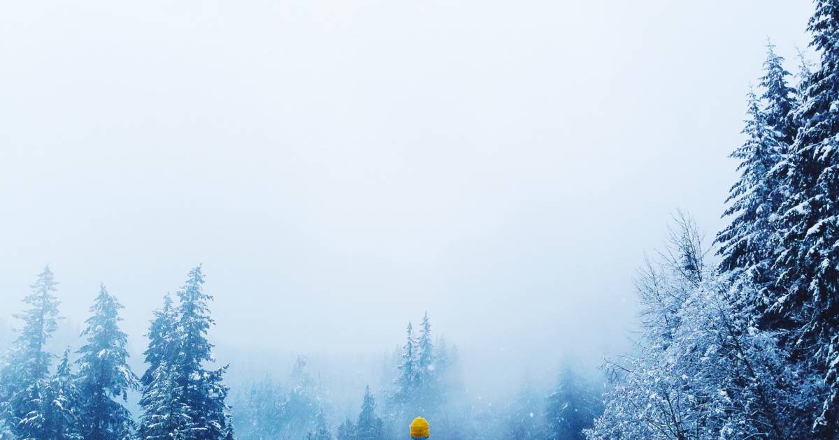 Winter in Vancouver - Best Time