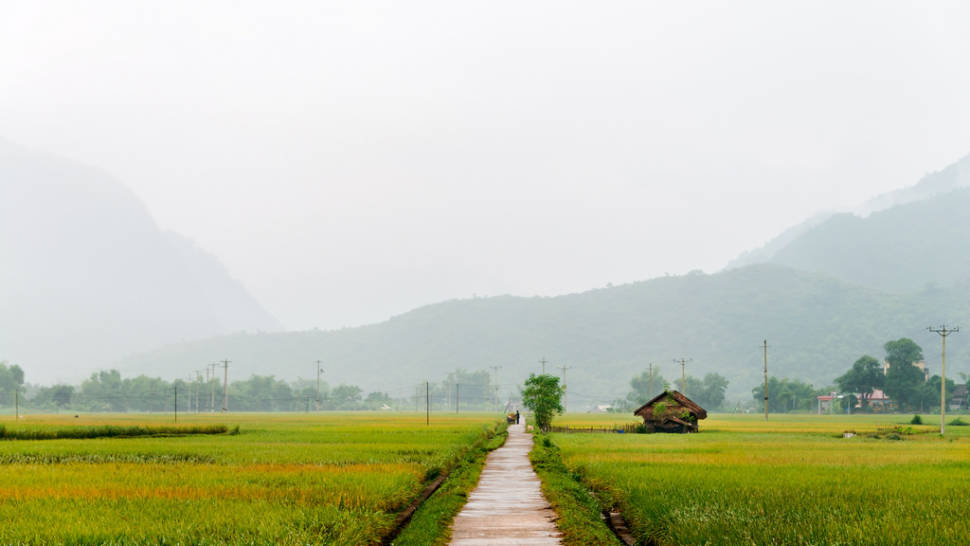 North Vietnam Wet Season in Vietnam - Best Season