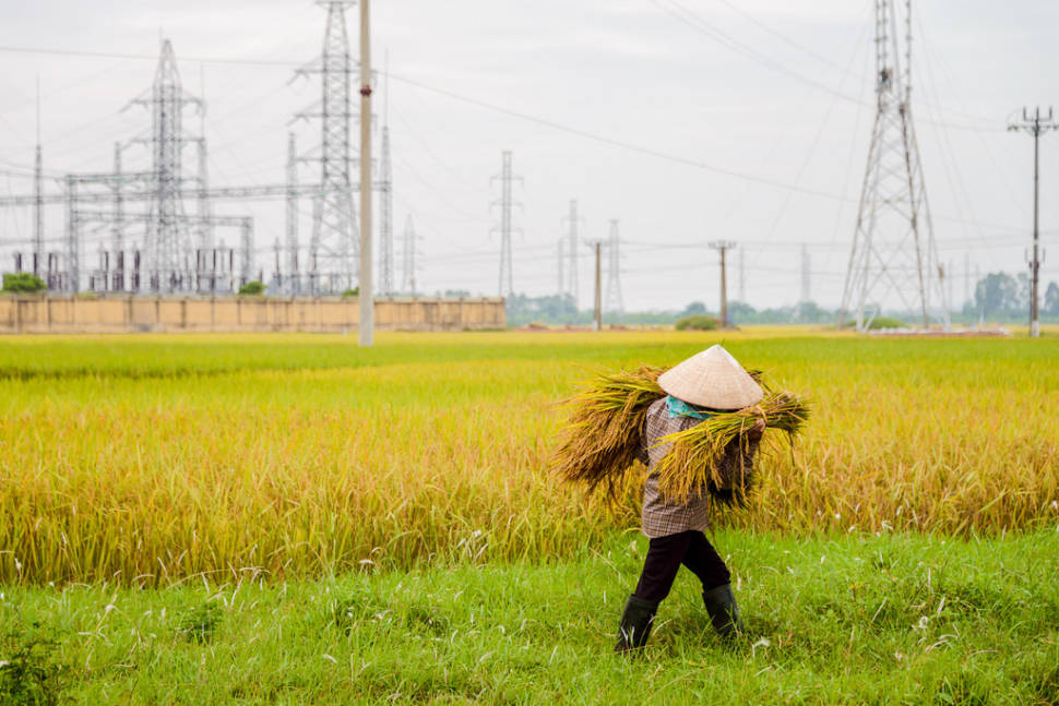 Powering Rice
