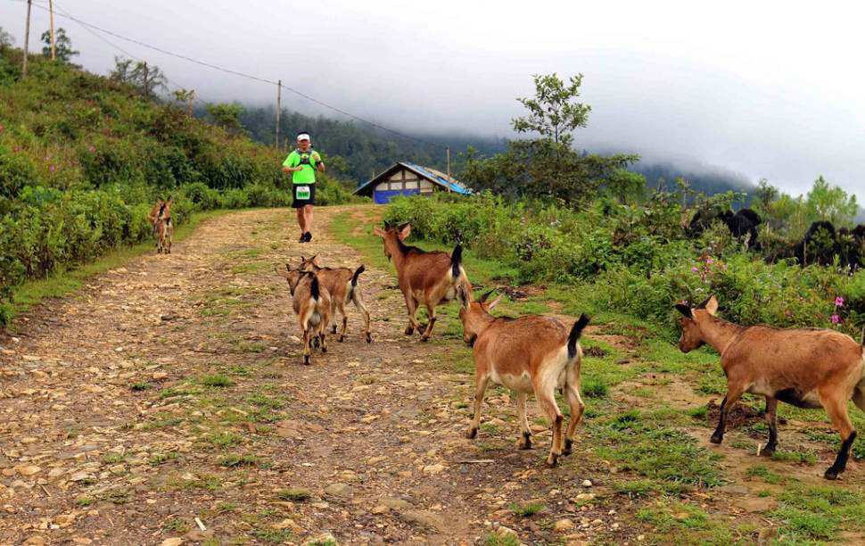 Vietnam Mountain Marathon in Vietnam - Best Season