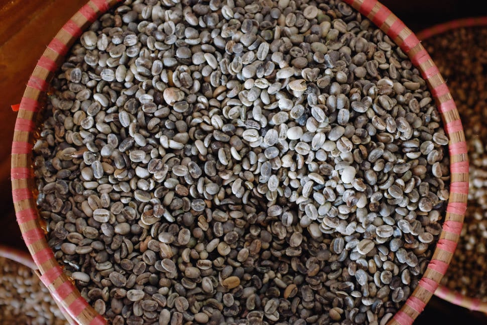Pre-roasted Coffee Beans