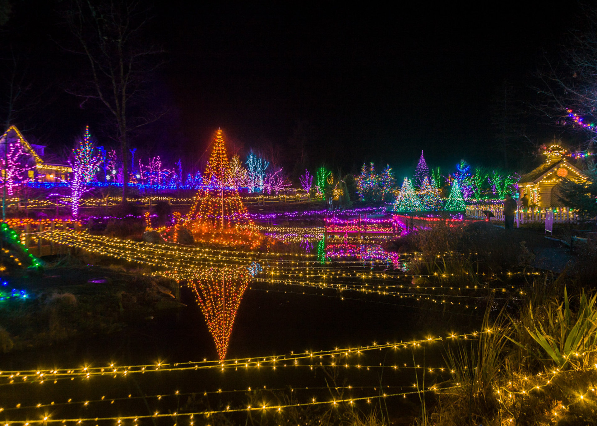 https://images.rove.me/w_1920%2Cq_85/nlbom68pl2zdhivhxqzs/idaho-christmas-lights.jpg
