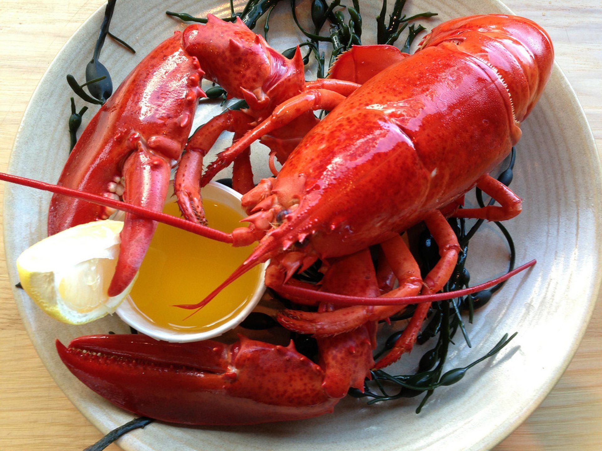 Boston%3A+Giant+Lobster+Graces+City+Hall+for+Annual+Seafood+Extravaganza