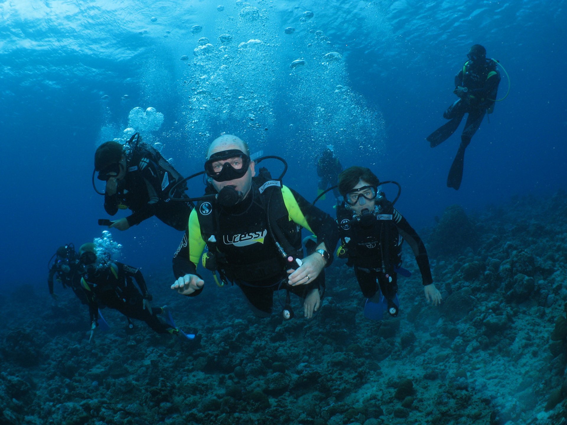 Immersioni e snorkeling