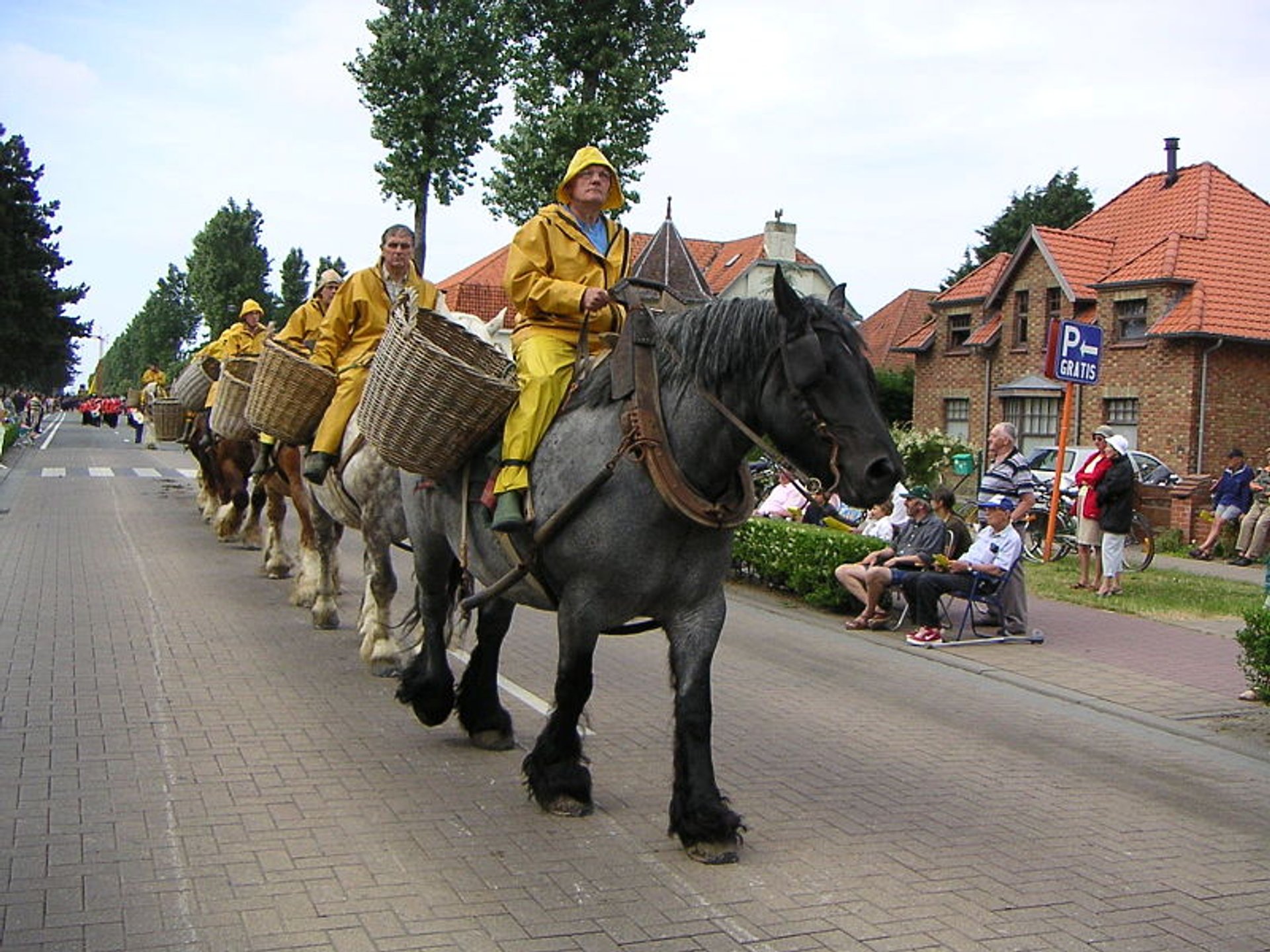 Best time for Horseback Shrimp Fishing in Belgium 2024 - Best Season