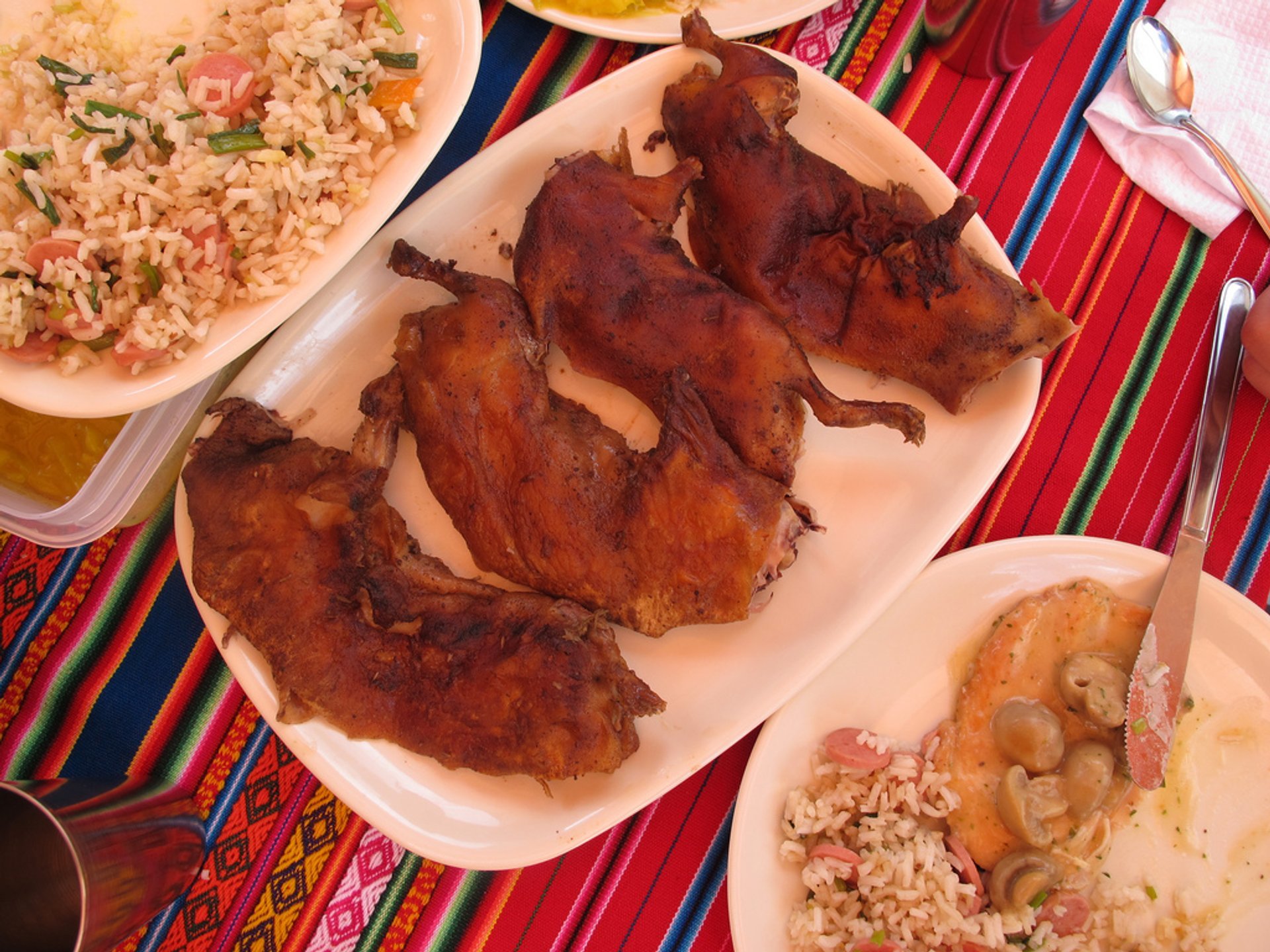 Pruebe un cerdo de Guinea o un cuy