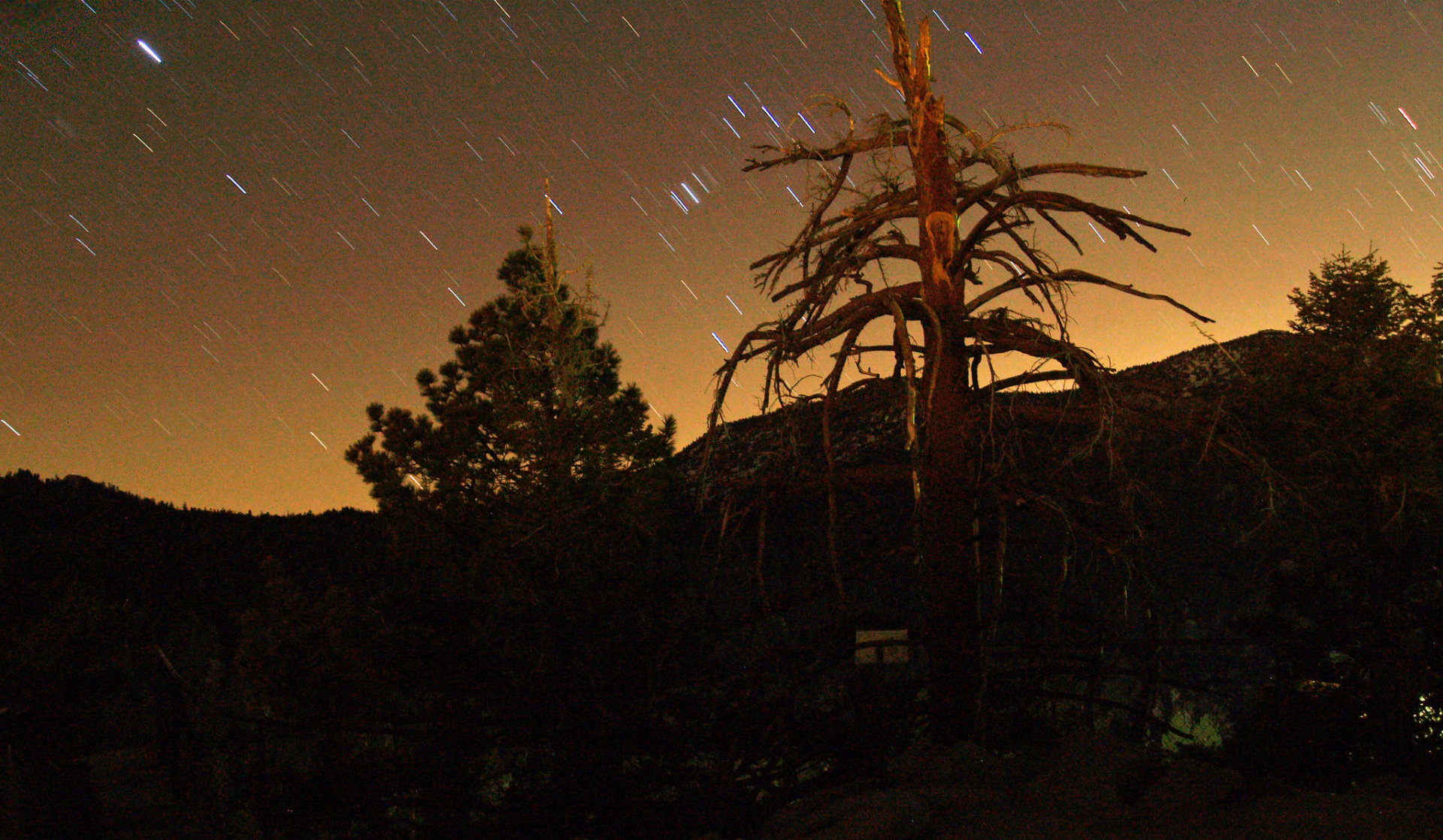 Observation des étoiles