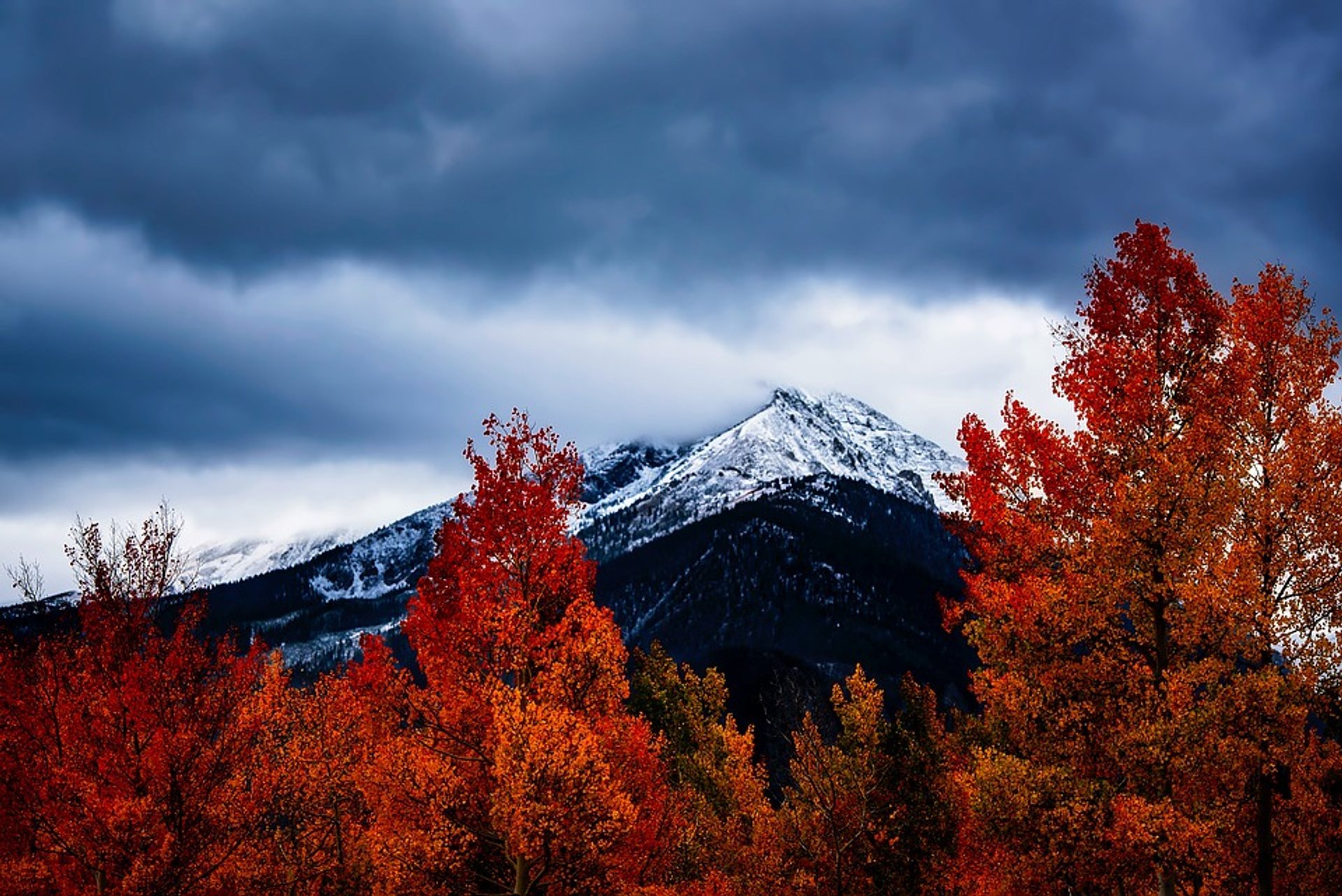 Couleurs d'automne du Colorado