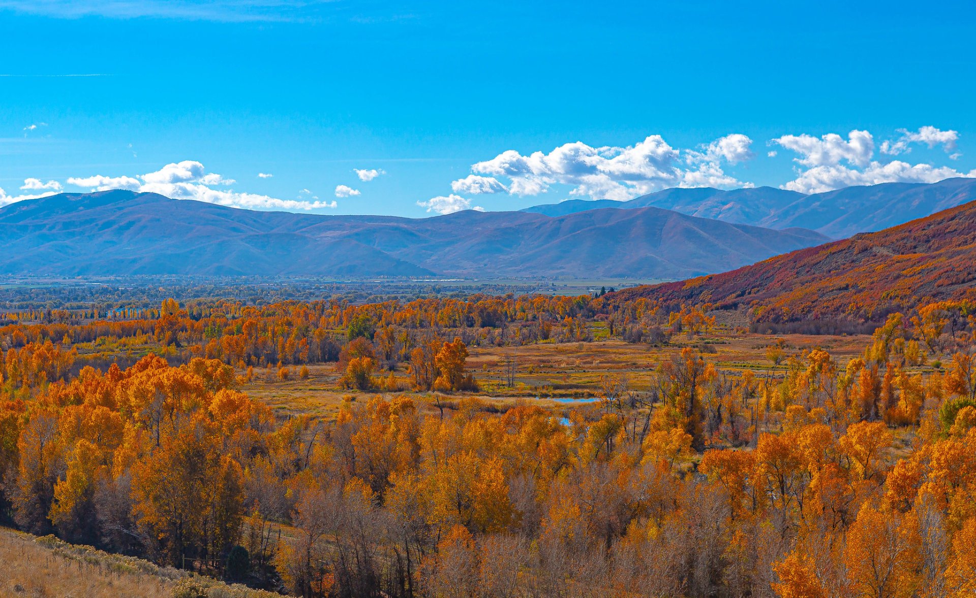 Colores de otoño