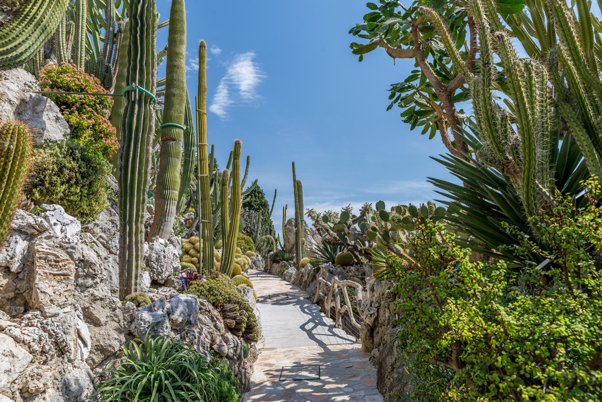 Jardim Exótico de Mônaco