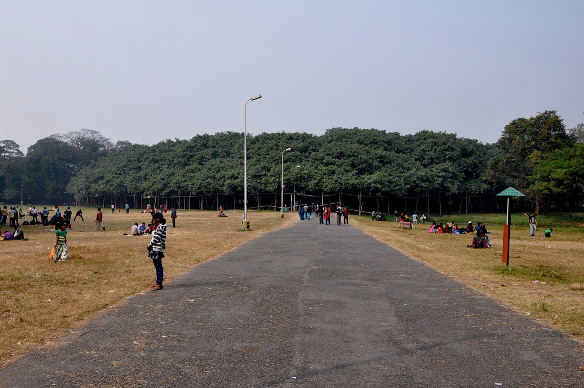 Great Banyan Tree