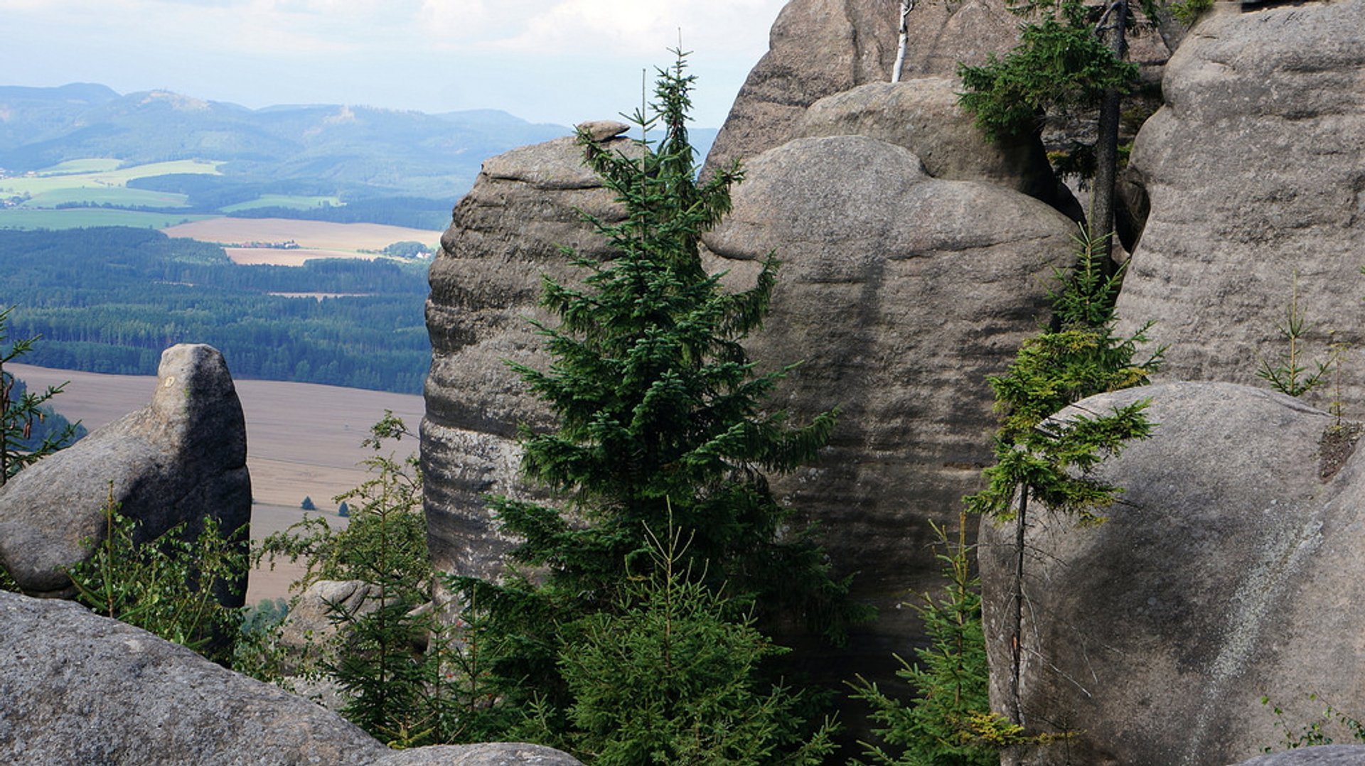 Klettern in Broumovské Stěny (Broumov-Wander)