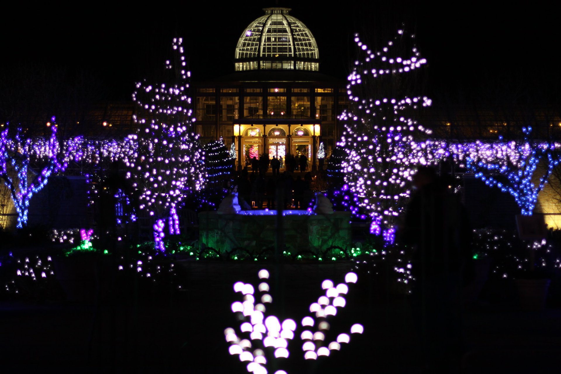 Luci di Natale attraverso Virginia