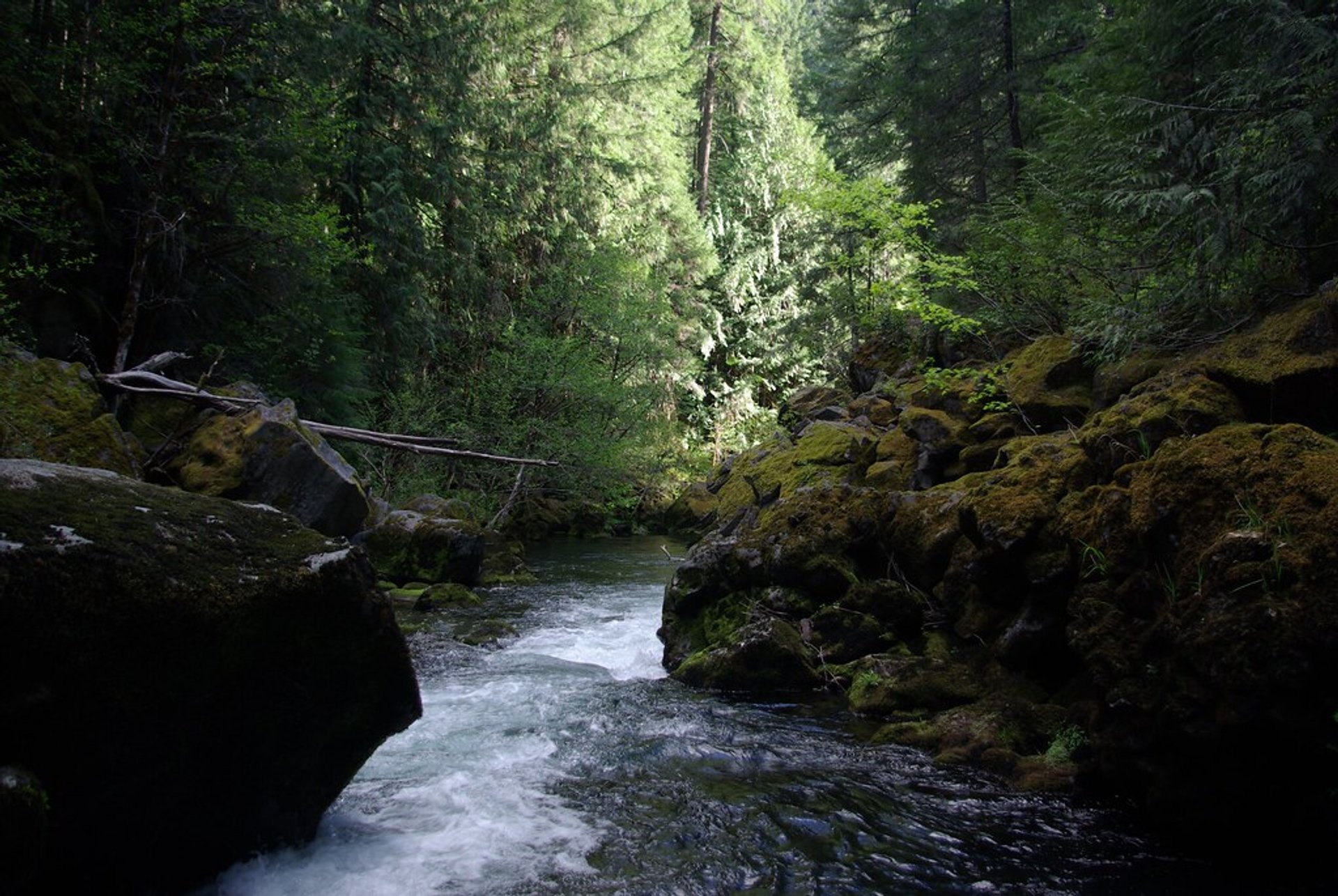 Toketee Falls