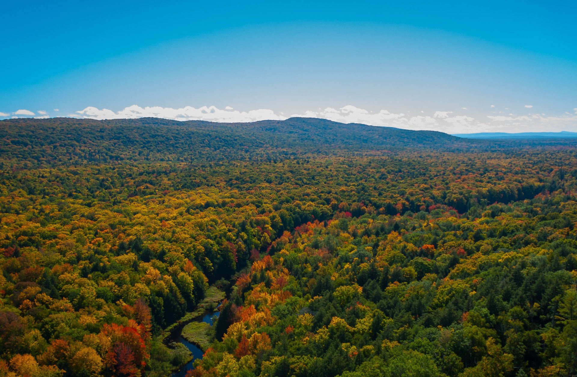 Herbstlaub des Sees der Wolken