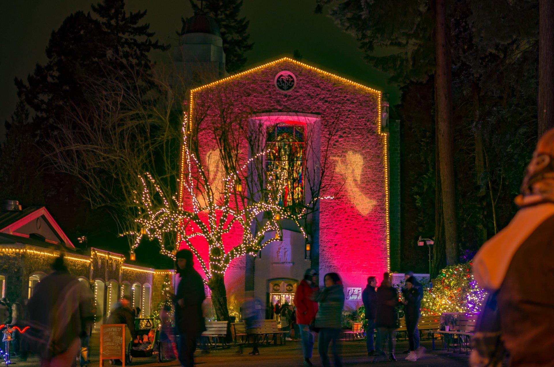 Christmas Lights in Portland