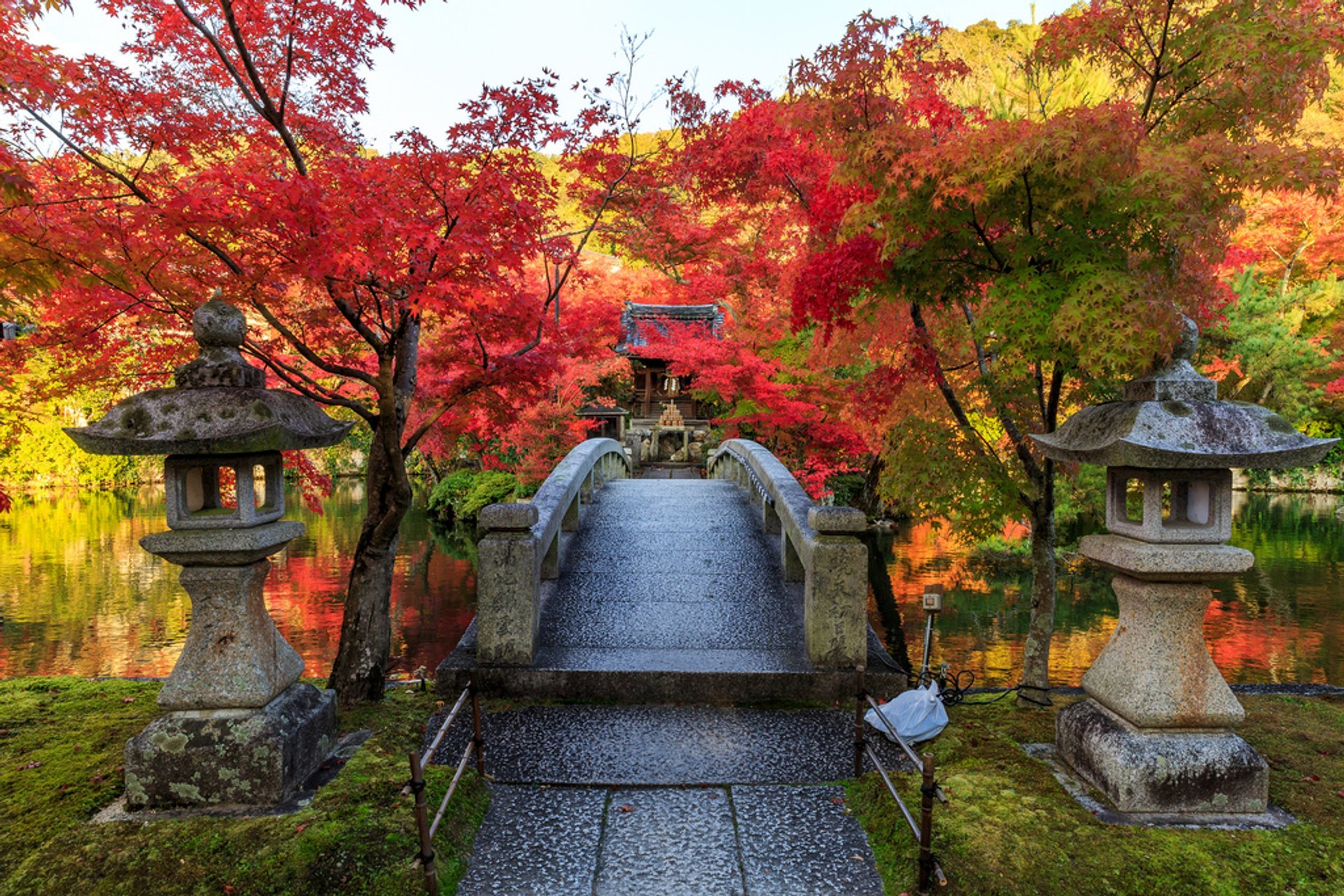 Fogliame d'autunno (Kōyō)