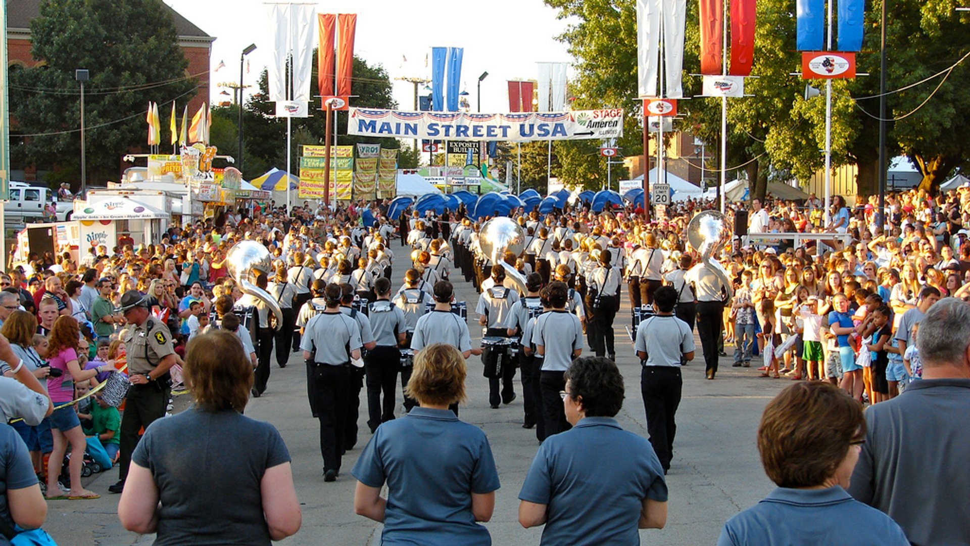 Feira Estadual de Illinois