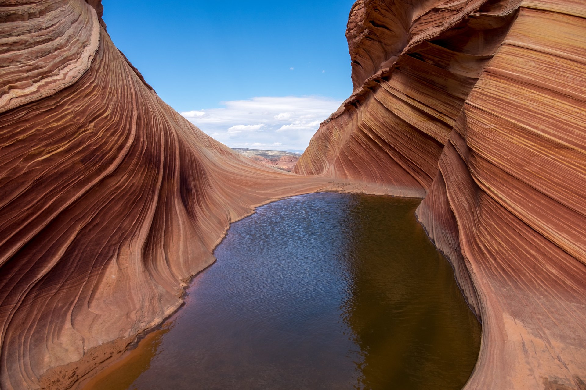 The Wave en Coyote Buttes