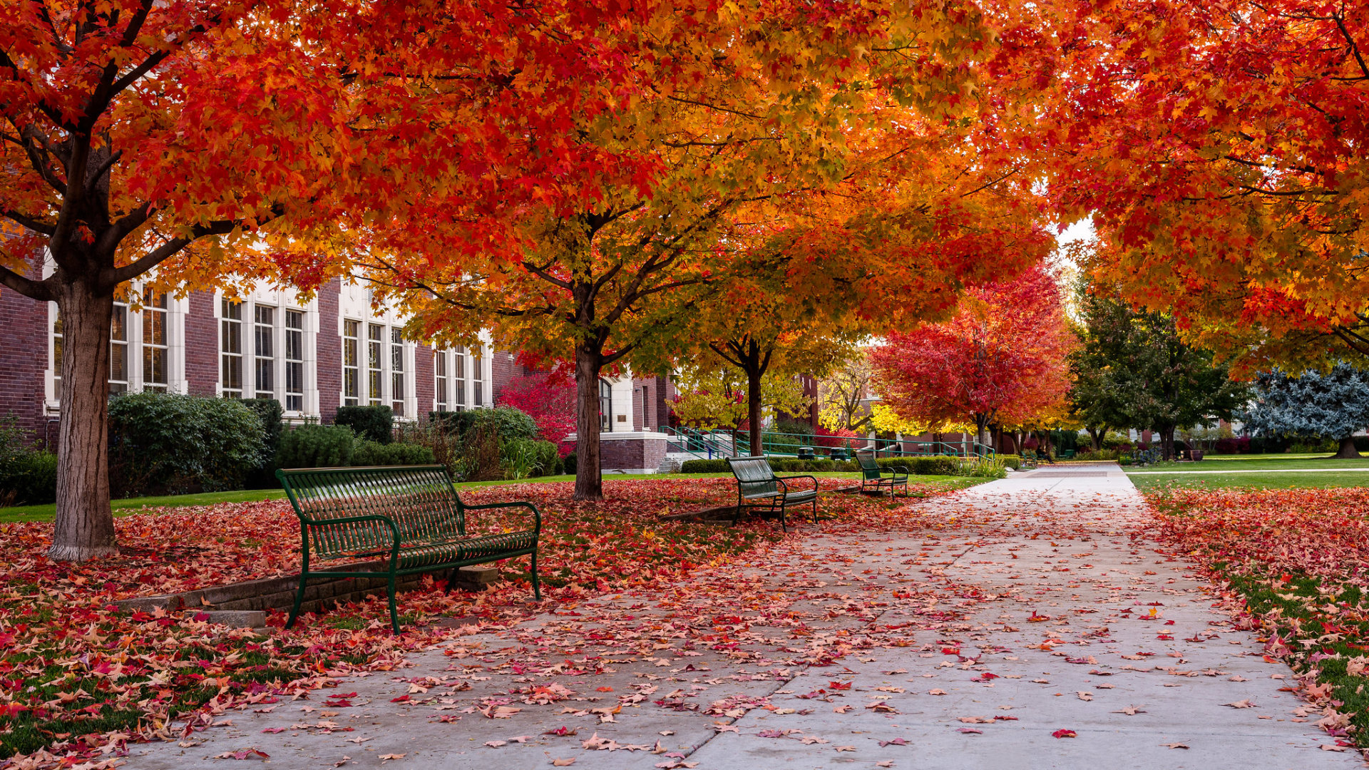 Colores del otoño en Idaho