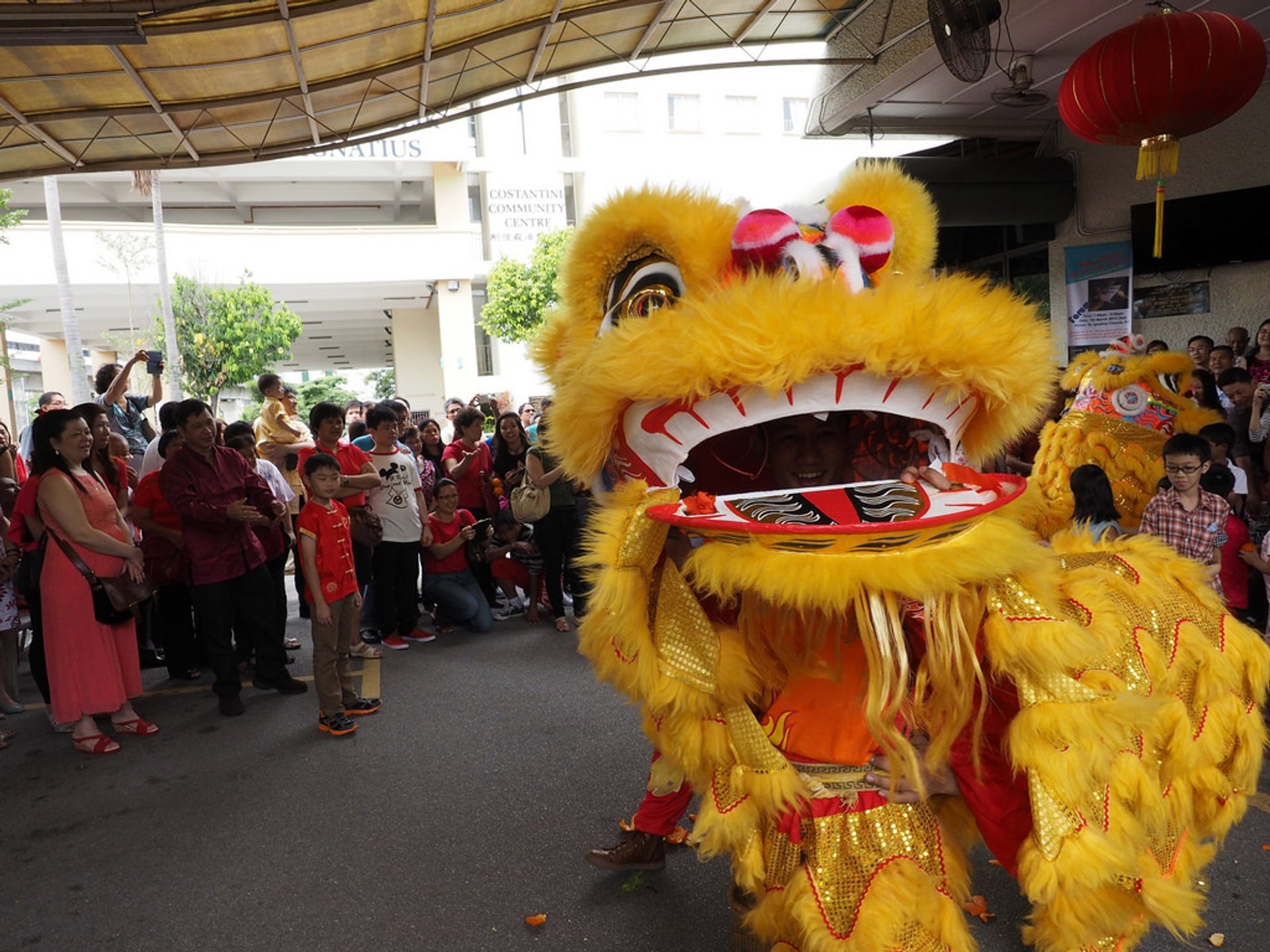 Chinesisches Neujahrsfest