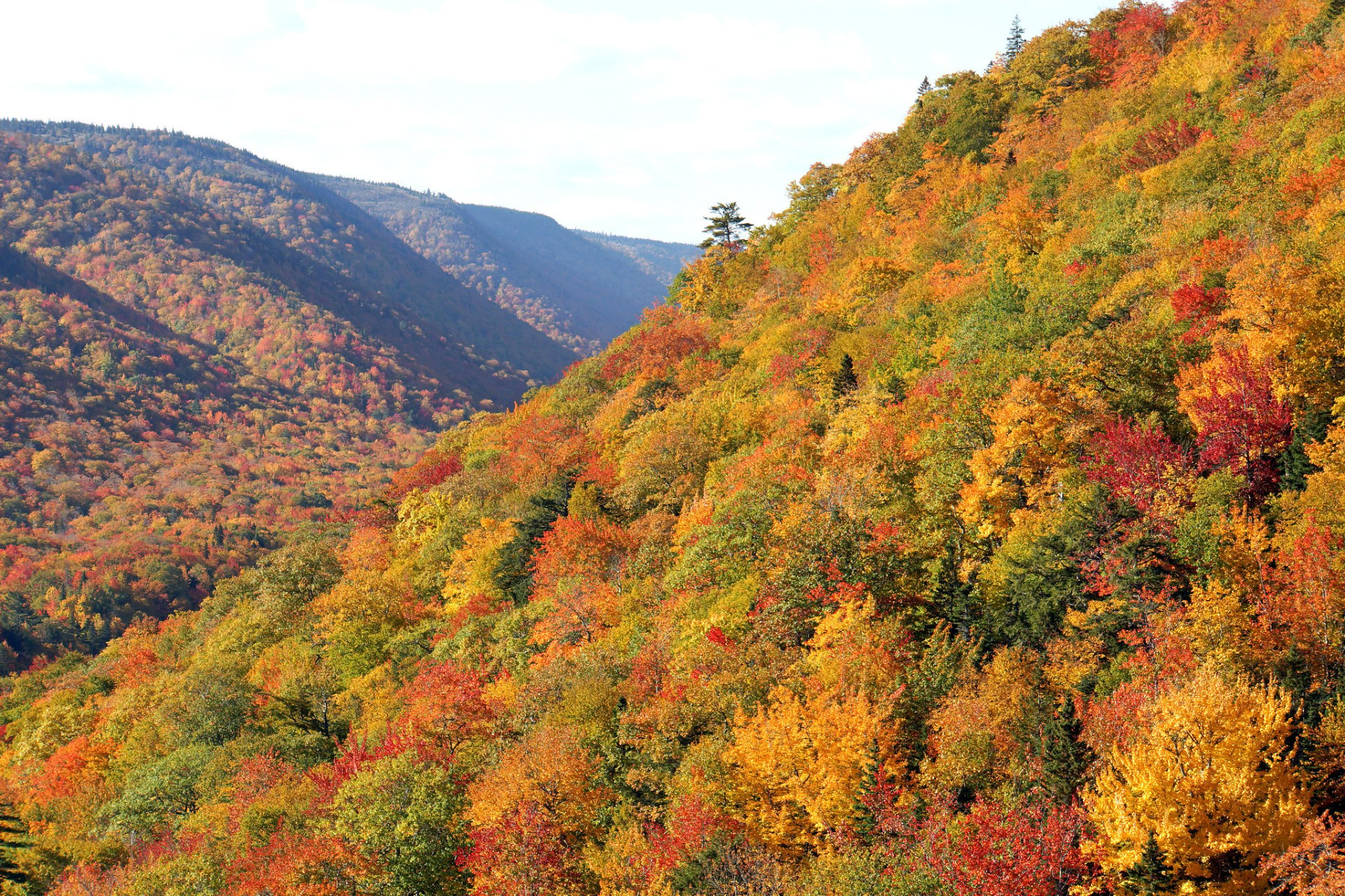 Colores de otoño