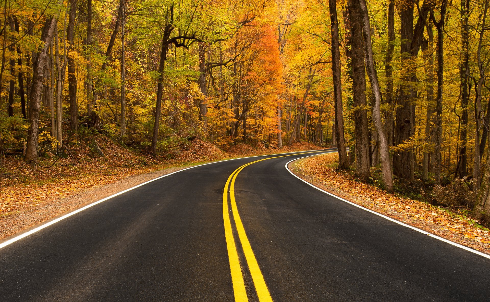 Colori di autunno a Gatlinburg, TN