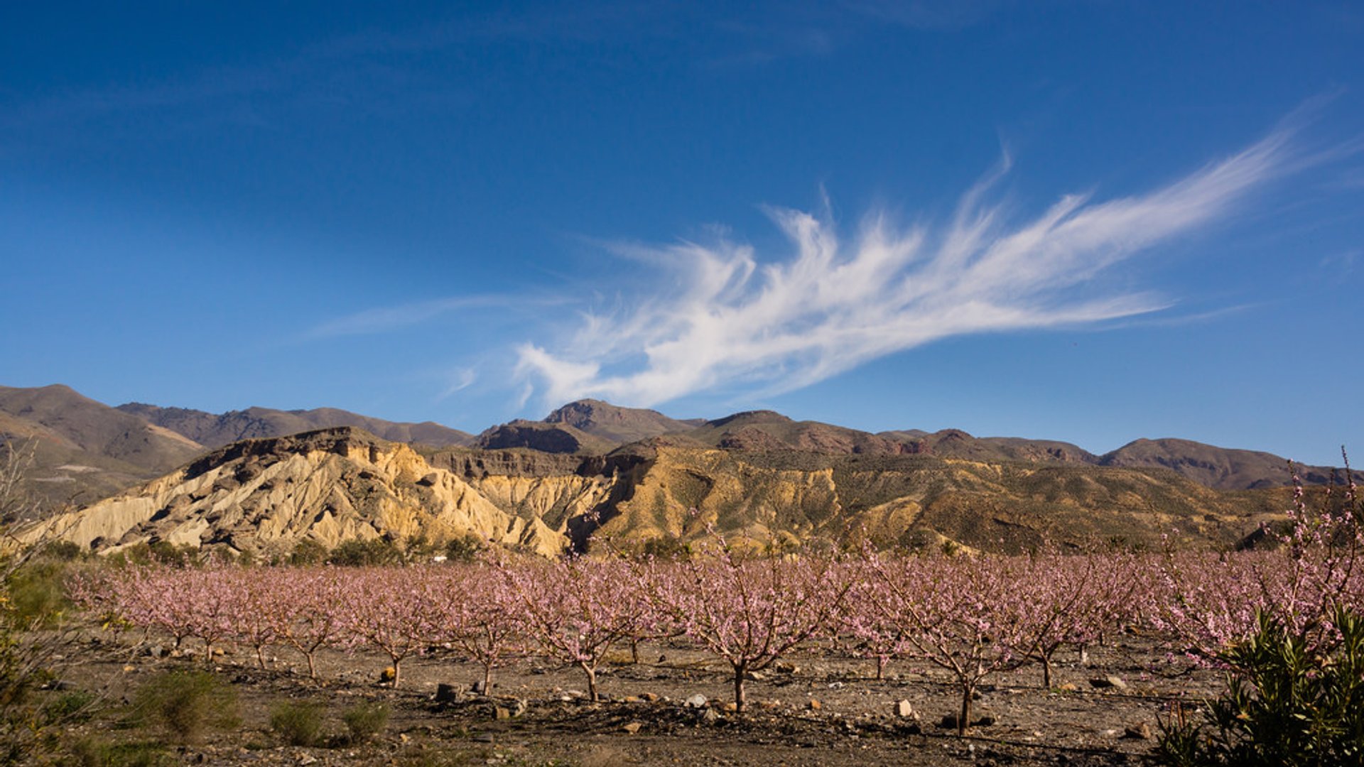 Tabernas, l'unico deserto dell'Europa