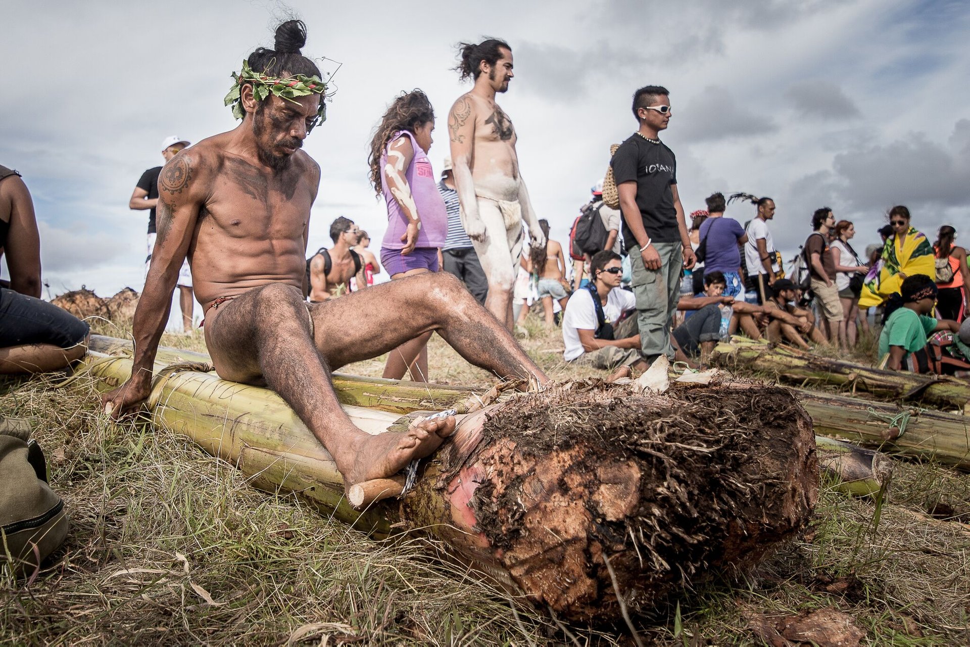 Waimea Cherry Blossom Festival 2025 Image