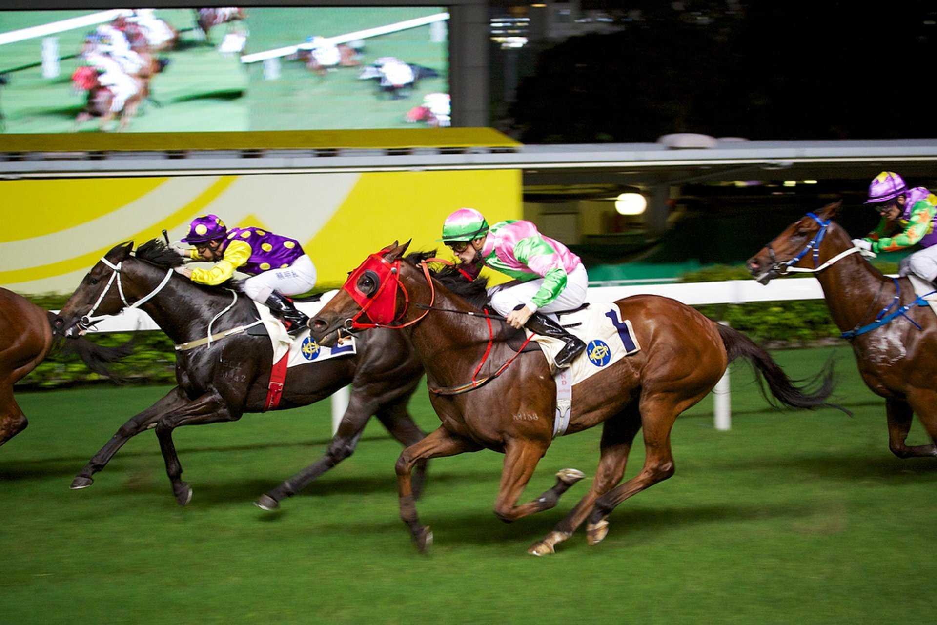 Horse Racing 2023 2024 In Hong Kong Dates