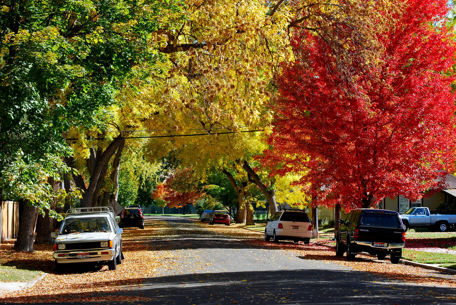 Cores do Outono em Idaho