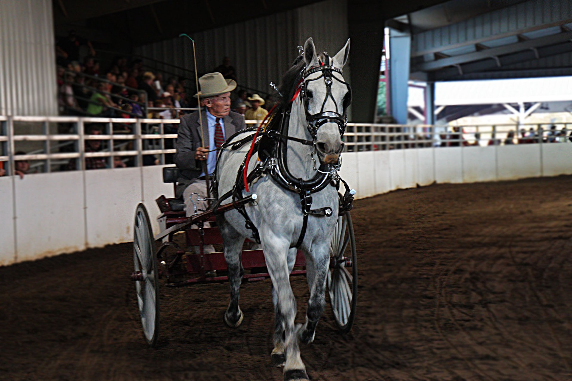 Foire nationale de Géorgie